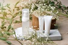 JOSÉ MANUEL PACHECO - JOSE MANUEL PACHECO