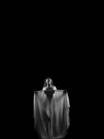 61d55a0d84555-frederic-sicard-photographie-retouche-photo-nu-artistique.jpeg