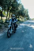 Luis LAGREN - LAGRENERIE